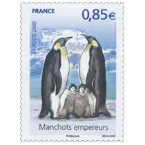 2009 Manchots empereurs