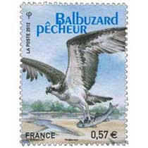 2012 Balbuzard pêcheur