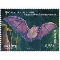 2013 Grand Rhinolophe Rhinolophus ferrumequinum