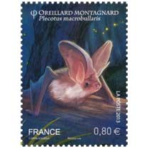 2013 Oreillard Montagnard Plecotus macrobullaris