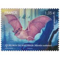 2013 Murin de natterer Myotis nattereri