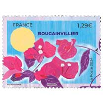 2024 Bougainvillier