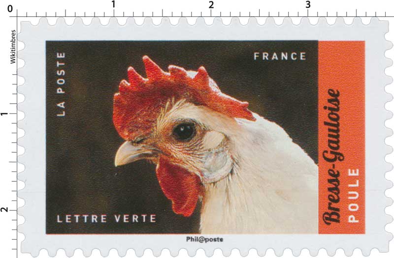 2017 Bresse-Gauloise - Poule