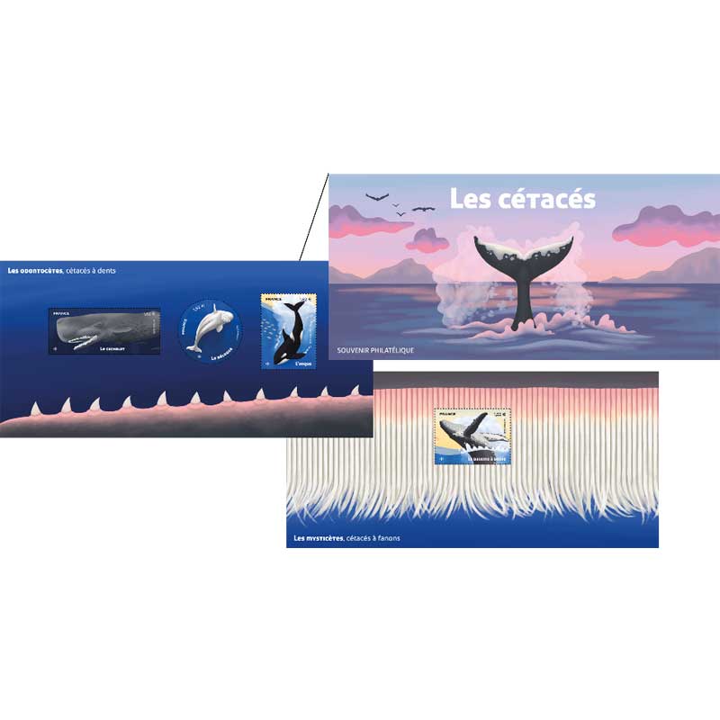 2026 LES CÉTACÉS