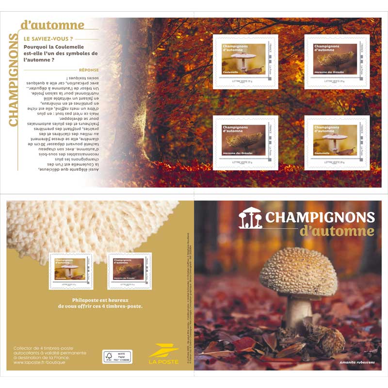 2025 CHAMPIGNONS D’AUTOMNE