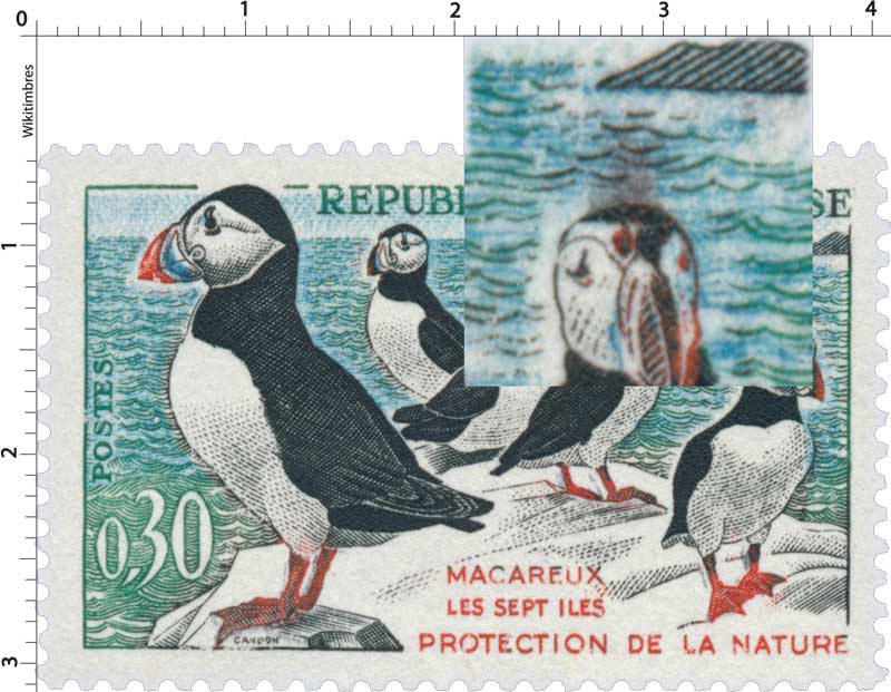 MACAREUX LES SEPT ILES PROTECTION DE LA NATURE