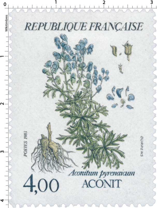 1983 ACONIT Aconitum pyrenaicum