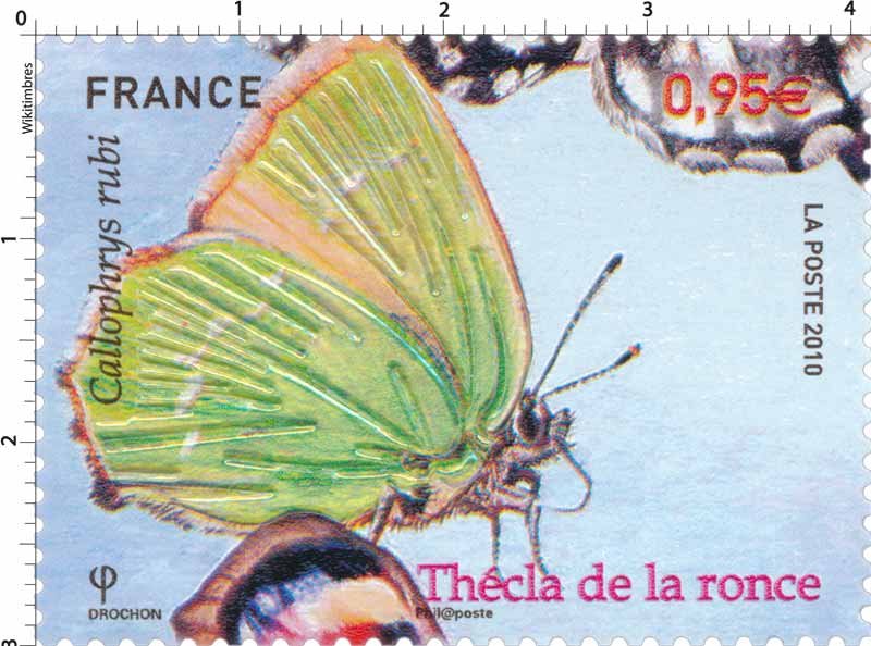 2010 Thécla de la ronce Callophrys rubi