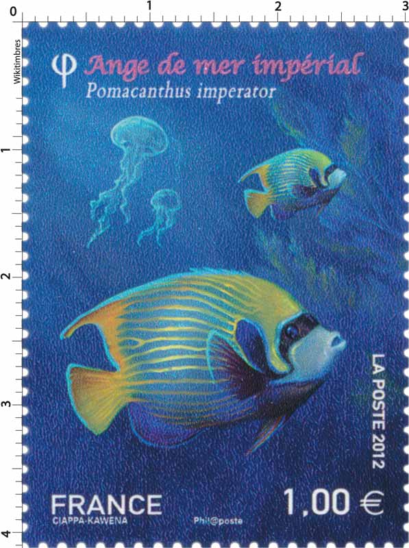 2012 l'ange de mer impérial pomacanthus imperator