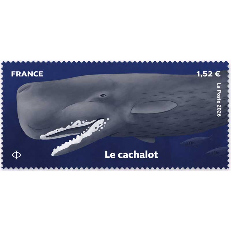 2026 Le cachalot