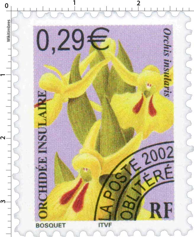 2002 ORCHIDÉE INSULAIRE Orchis insularis